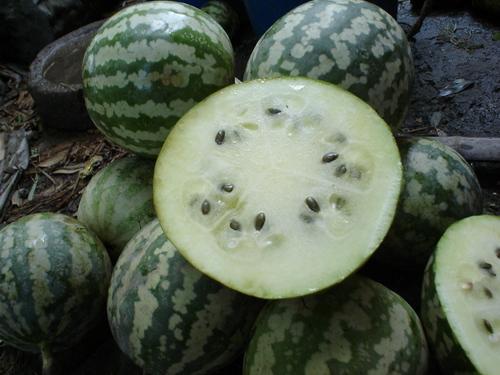 坎瓜怎么吃的视频,视频教你轻松烹饪