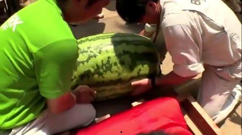 吃瓜的观察视频,吃瓜群众视角下的精彩瞬间回顾