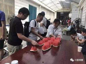 成都吃瓜群众视频,揭秘本地生活趣味点滴