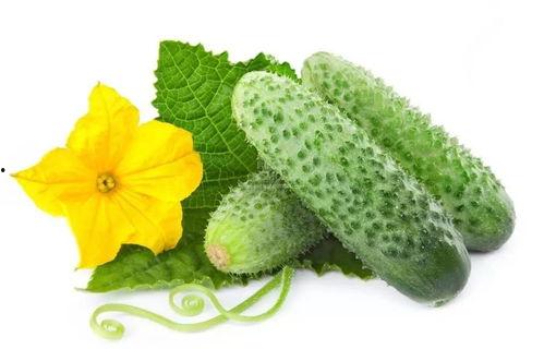 华妃吃酸瓜怀孕视频,宫廷生活甜蜜升级