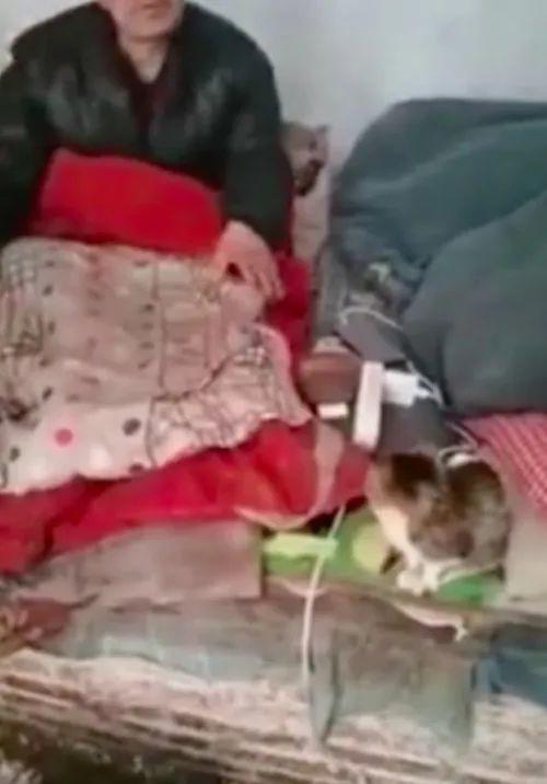 刘科长吃瓜视频,揭秘官场幕后趣闻