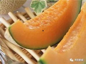 吃哈密瓜儿歌视频完整版,甜蜜旋律中的夏日风情