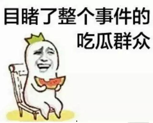 美丽的吃瓜群众歌曲视频,揭秘网络热歌背后的欢乐与思考