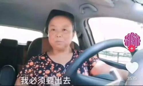 老阿姨默默吃瓜视频下载,下载背后的故事与技巧