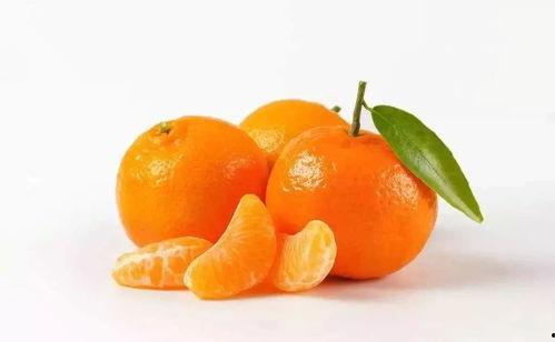 淄博橘子探店吃瓜视频,揭秘当地特色美食，吃瓜视频带你一探究竟