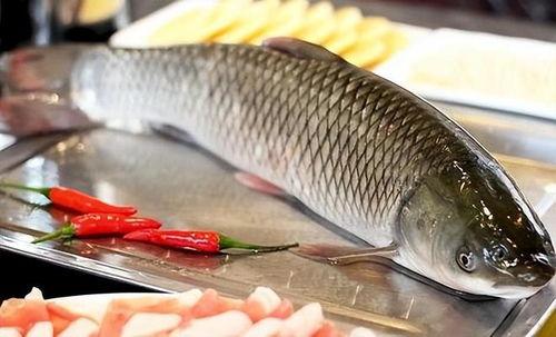 韩国吃货八瓜鱼生吃视频,惊险刺激的味蕾冒险