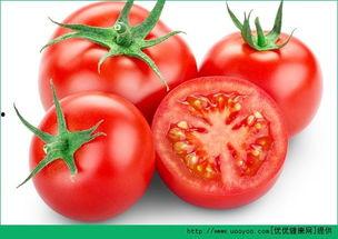 番茄吃瓜搞笑视频大全,搞笑视频大盘点