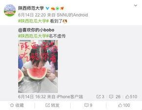 直播算命吃大瓜视频大全,揭秘网红吃瓜视频背后的玄机与趣味