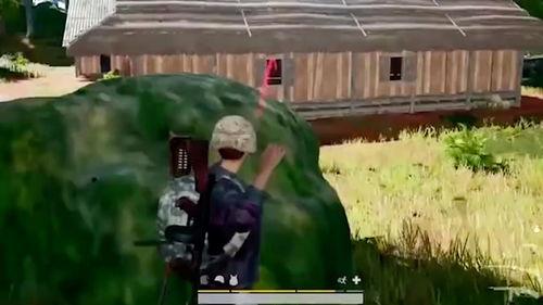 吃鸡吃白瓜的视频,一场别开生面的吃鸡挑战