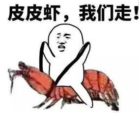 老板吃瓜套路大全最新视频,最新视频深度解析