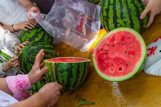 在美国吃瓜视频,揭秘美国社会百态