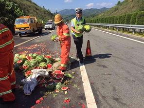 丽水吃瓜群众事件视频播放,网络热议背后的真相与反思