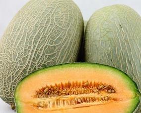 燕子吃哈密瓜视频大全集,趣味视频大盘点