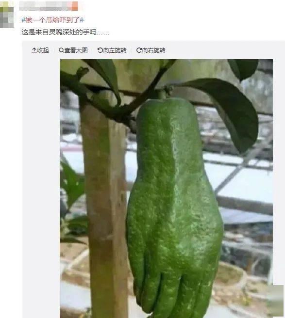 吃瓜一定不能错过视频吗,那些你不能错过的视频盘点