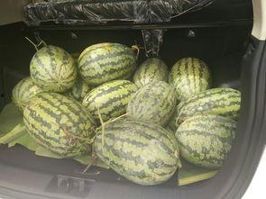 搬凳子吃瓜的视频,揭秘网络“吃瓜”文化新现象