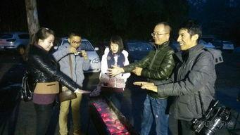 吃瓜小视频你懂的,揭秘“吃瓜小视频”背后的娱乐真相